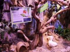 -正佳雨林生态植物园