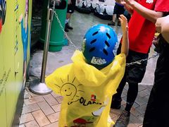 -圣淘沙天际线斜坡滑车