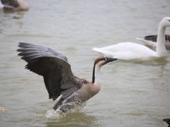 -艾溪湖湿地公园