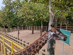 -西霞口神雕山野生动物世界