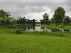 -两河城市森林公园