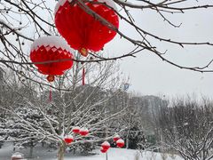 -望湖公园