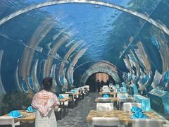 -涛·海底餐厅·美人鱼·自助餐·海底隧道(三亚海棠湾洲际度假酒店)