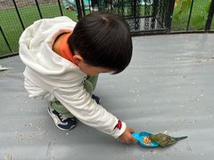 -杭州开元森泊度假乐园