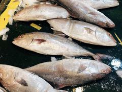 大黄鱼-白沙洲农产品大市场海鲜交易区