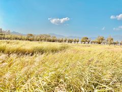 -野鸭湖国家湿地公园