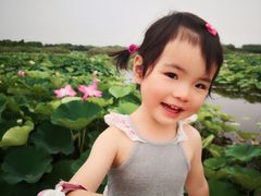 -荷塘月色湿地公园·向阳花洲