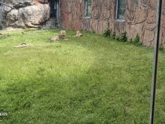 -无锡动物园·太湖欢乐园
