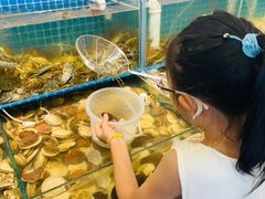 -港畔赶海蒸汽海鲜烧烤自助(仙螺岛店)