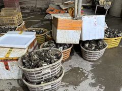-蠔园山庄(礼乐食街店)