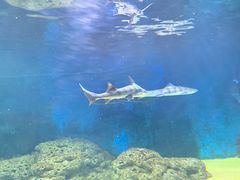 -海合安青岛极地海洋公园
