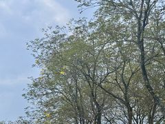 -白鹭湾湿地公园