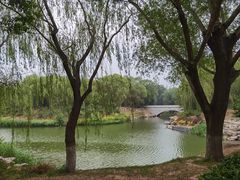 -大兴滨河森林公园