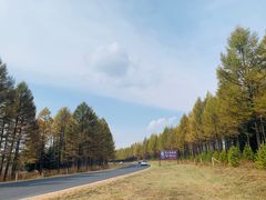 -塞罕坝国家级自然保护区