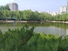 -团结湖公园