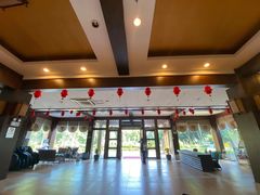 -南宁良凤江国家森林公园