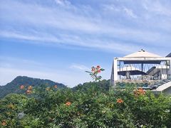 -马灯部落·西湖边的创意山景餐厅(虎跑动物园店)