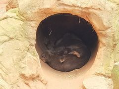 -费瑟代尔野生动物园