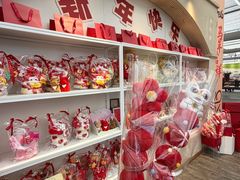 -荷兰花海