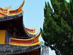 -江心屿景区