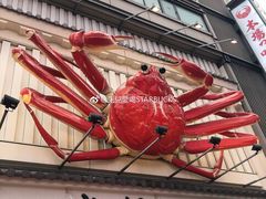 -蟹道乐(道顿堀本店)