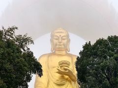 -庐山风景名胜区-东林大佛