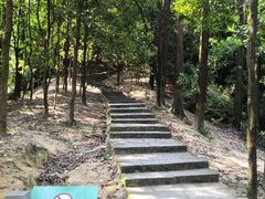 -火炉山森林公园