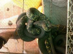 android_upload_pic-宜宾海鲜酒家·三十年老字号