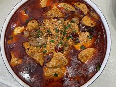 -杨肥肠小火锅(新桥店)