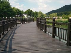 -石塘人家