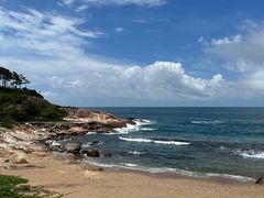 -广东惠东海龟国家级自然保护区