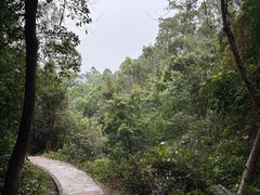 -火炉山森林公园