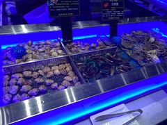 水产区-SEA西雅图海鲜自助餐厅(海乐世界店)