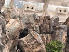 -香港海洋公园