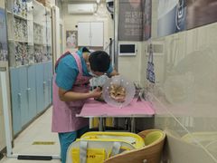 -北京观赏动物医院·24小时大型综合·猫专科·异宠专科
