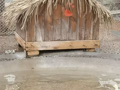 -珠海海泉湾神秘岛亲子乐园