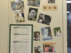 -爱妮康宠物医院·干细胞免疫细胞·肿瘤·心脏(张江店)