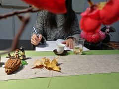 -诗宇时光茶艺书法古琴培训