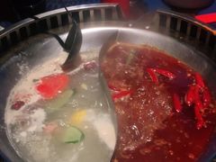 -辣伍鲜毛肚老火锅(元一店)