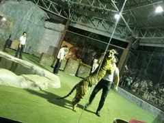 -清迈夜间动物园