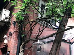 -古董花园(思南路42弄小区店)