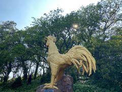 -海口火山口国家地质公园