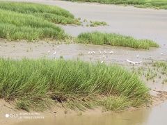 -小洋口旅游度假区