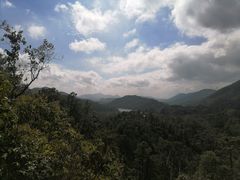 -田心森林公园