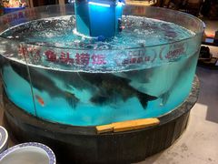 -魏铭鱼头捞饭(晋阳路店)