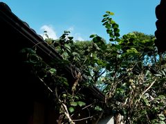 -宁波市保国寺古建筑博物馆