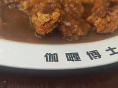 -伽喱博士 Dr.CURRY咖喱饭(太阳宫咖喱店)