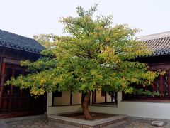 -宛园