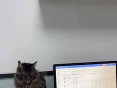 -嘉馨宠物医院·CT影像转诊·心脏科·犬猫全科诊疗中心(下沙大学城院区)