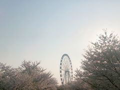 -自然谷恐龙园